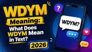 what does wdym mean in text